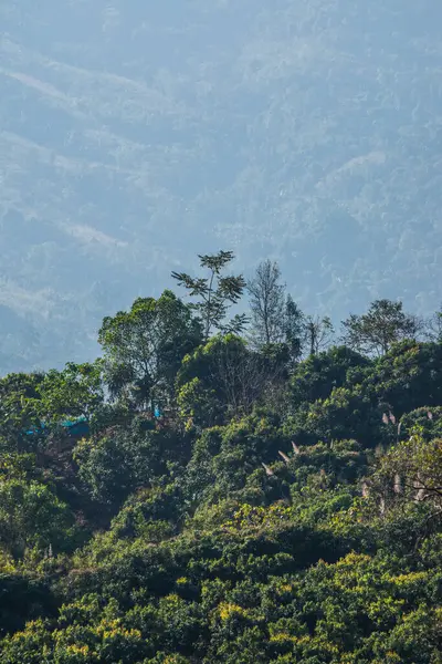 Phu Langka Ulusal Parkı, Tayland Güzel Dağ Manzarası.