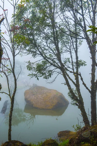Seeblick Mit Nebel Thai Thailand — Stockfoto