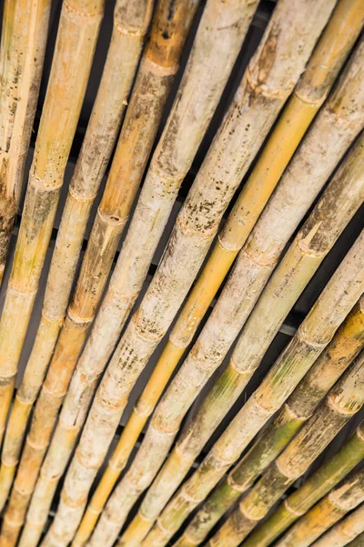 Bamboo stick for decoration, Thailand.