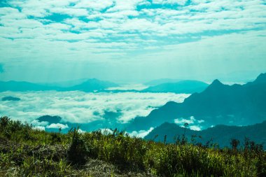 Chiangrai Eyaleti, Tayland 'daki Phu Chi Fa Manzara Noktasında Sis Denizi.