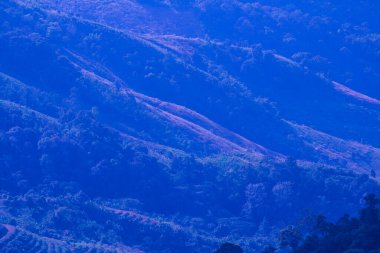 Tayland 'ın Chiangrai eyaletindeki Doi Pha Tang' da Dağ Manzarası.