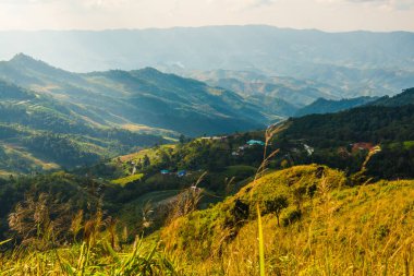 Tayland 'ın Chiangrai eyaletindeki Doi Pha Tang' da Dağ Manzarası.