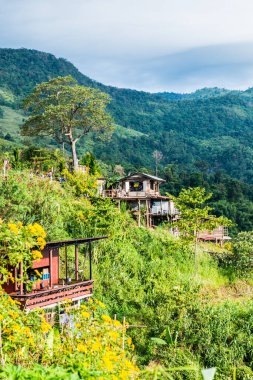 Phu Langka Ulusal Parkı, Tayland Güzel Dağ Manzarası.