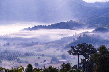 Phu Langka Ulusal Parkı, Tayland Güzel Dağ Manzarası.