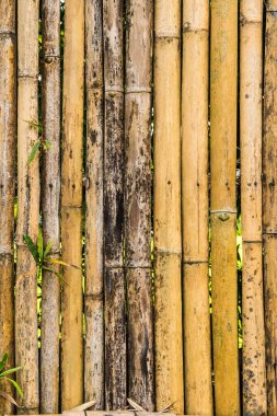 Bambu çit arka planı, Tayland.