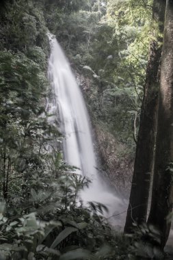 Khunkorn Şelalesi, Tayland, Chiang Rai bölgesinde..
