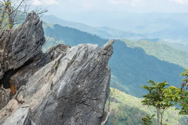 Chiangrai, Tayland 'da Doi Pha Tang' da Manzara Noktası.