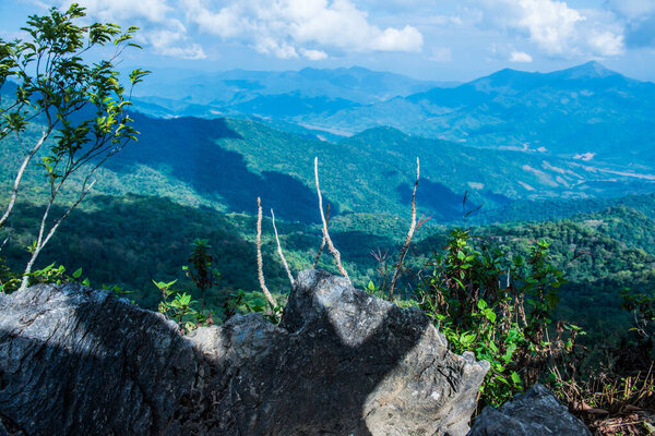 Mountain View at Doi Pha Tang in Chiangrai Province, Thailand.