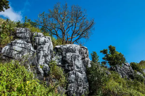 Chiangrai, Tayland 'da Doi Pha Tang' da Manzara Noktası.