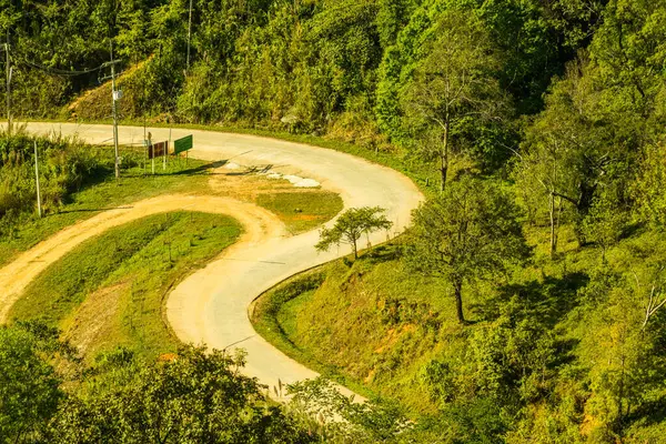 Chiangrai, Tayland 'da Doi Pha Tang yolu..