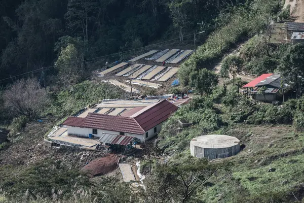 Doi Pha Tang, Tayland 'daki köy manzarası.