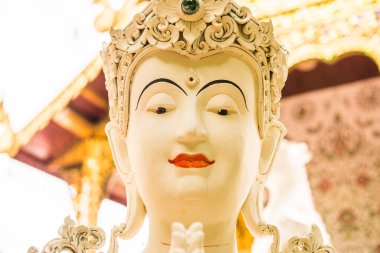 Tayland 'ın Chiangmai eyaletindeki Darabhirom Ormanı Manastırı' nda güzel bir kalıp sanatı..