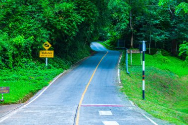 Tayland 'daki dağda küçük bir yol.