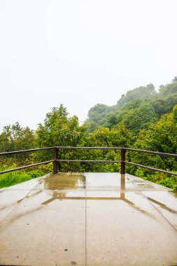 Doi Inthanon Ulusal Parkı, Tayland.