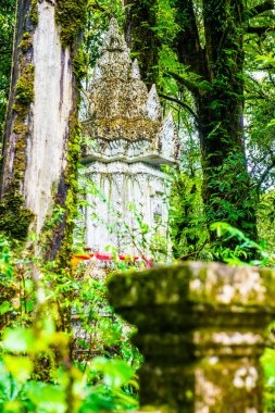 Doi Inthanon Ulusal Parkı 'ndaki Kral Inthanon Anıt Tapınağı, Tayland.