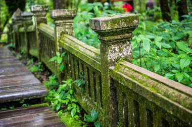 Doi Inthanon Ulusal Parkı, Tayland 'da eski beton çitler..