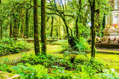 Doi Inthanon Ulusal Parkı 'ndaki Kral Inthanon Anıt Tapınağı, Tayland.