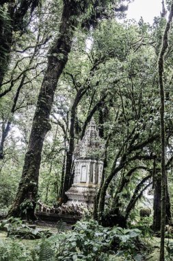 Doi Inthanon Ulusal Parkı 'ndaki Kral Inthanon Anıt Tapınağı, Tayland.