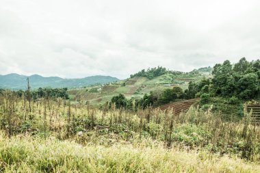 Mon Jam 'in Tayland' daki dağ manzarası.