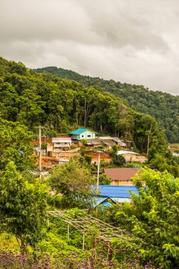 Mon Cham, Tayland 'daki dağdaki köy..