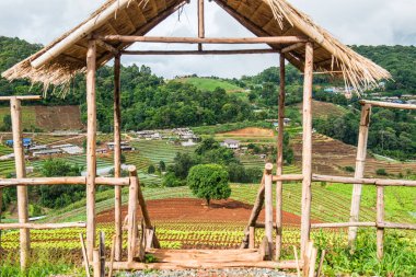 Mon Jam 'in Tayland' daki dağ manzarası.