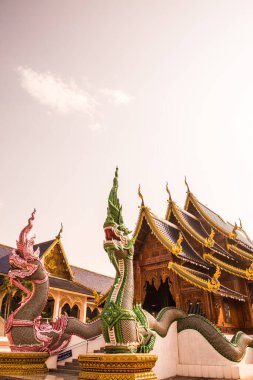 Tayland 'daki Ban Den Tapınağı' nda güzel bir Tayland tarzı kilise..