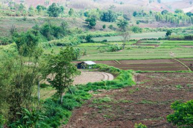 Chiang Rai Eyaleti, Tayland Doğal Manzarası.