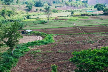 Chiang Rai Eyaleti, Tayland Doğal Manzarası.