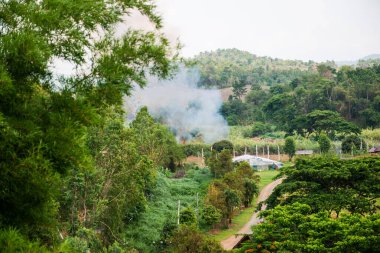 Chiang Rai Eyaleti, Tayland Doğal Manzarası.