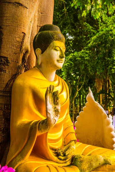 Buddha Staue Darabhirom Forest Monastery Tailandia —  Fotos de Stock