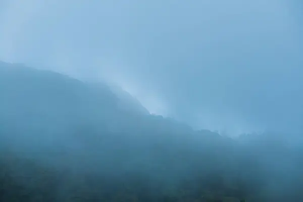 Bosque Con Niebla Parque Nacional Doi Inthanon Tailandia — Foto de Stock