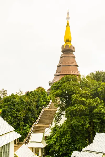 Фаступа Горе Национальном Парке Дой Интанон Таиланд — стоковое фото