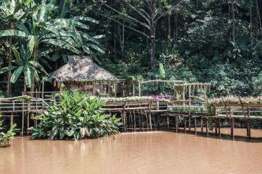 Mae Fah Luang Garden Peyzajı, Tayland.