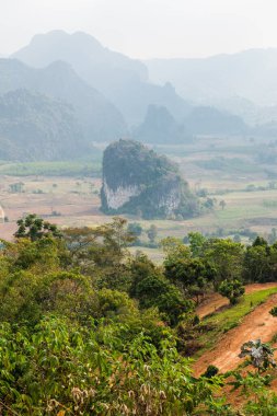 Phu Langka Ulusal Parkı, Tayland Güzel Manzarası.