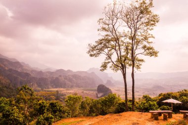 Phu Langka Ulusal Parkı, Tayland Güzel Manzarası.