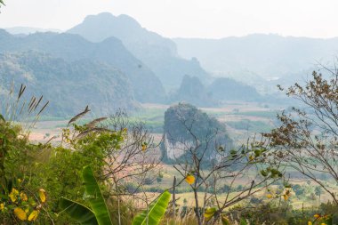 Phu Langka Ulusal Parkı, Tayland Güzel Manzarası.