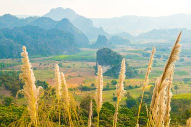 Phu Langka Ulusal Parkı, Tayland Güzel Manzarası.