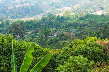 Phu Langka Ulusal Parkı, Tayland Yerel Köyü.