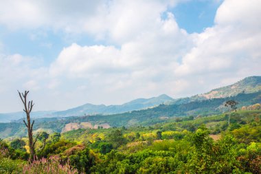 Tayland Phu Langka Ulusal Parkı 'nda güzel bir manzara..