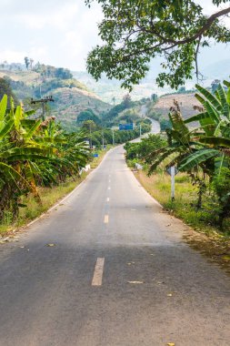 Tayland 'ın Phayao eyaletinde dağdaki yol.