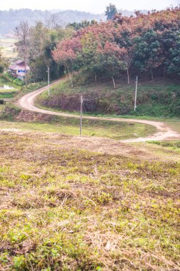 Tayland kırsallı Laterite Yolu, Tayland.