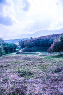 Tayland kırsallı Laterite Yolu, Tayland.
