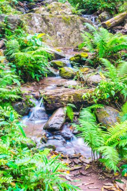 Champa Tanga Şelalesi 'nde küçük bir dere, Tayland.