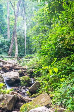 Champa Tanga Şelalesi 'nde küçük bir dere, Tayland.