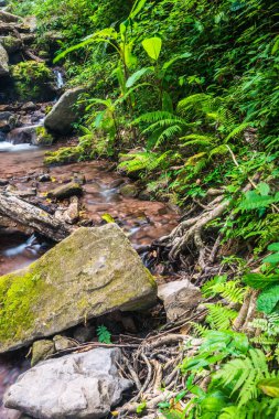 Champa Tanga Şelalesinde Su Akıyor, Tayland.