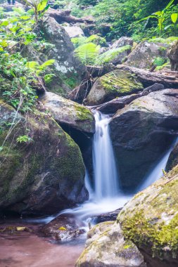Champa Tanga Şelalesinde Su Akıyor, Tayland.
