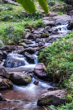 Champa Tanga Şelalesi 'nde küçük bir dere, Tayland.