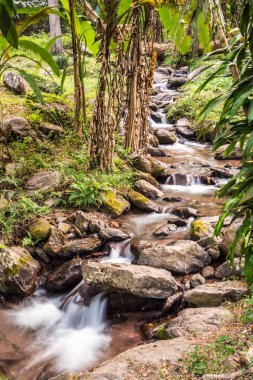 Champa Tanga Şelalesi 'nde küçük bir dere, Tayland.