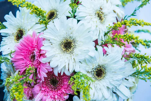 Tayland, Gerbera çiçeğine yakın..