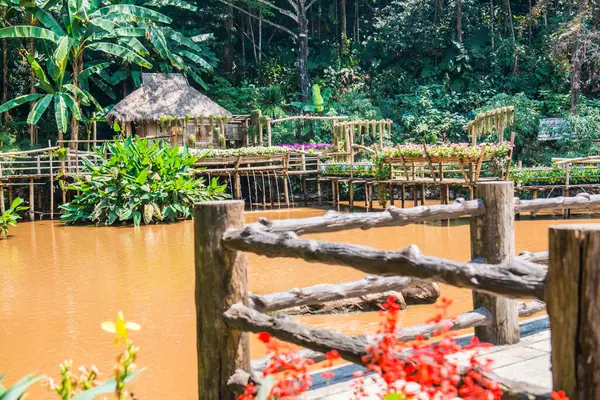 Landschaft Von Mae Fah Luang Garden Thailand — Stockfoto